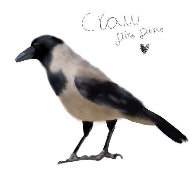 crow🐦‍⬛