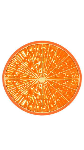 sliced orange