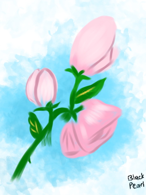 flower - ibisPaint