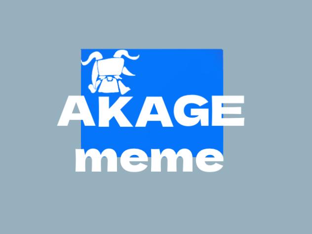 代理でAKAGE meme
