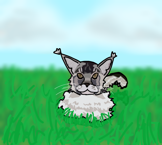 Kitty in a field