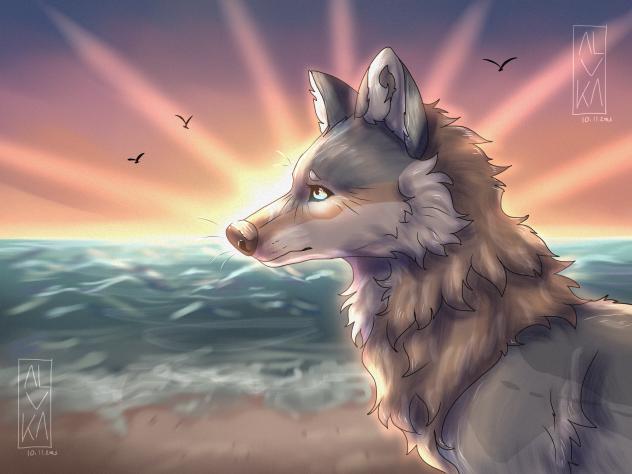 Watching coast