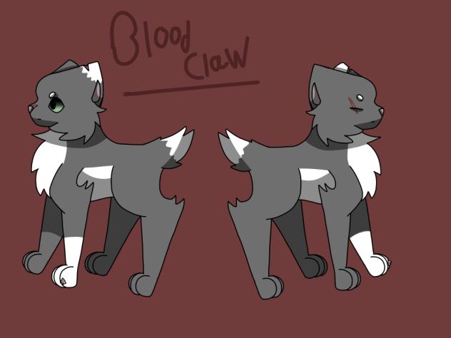 Warrior cats. BloodClaw. Eeeeeee