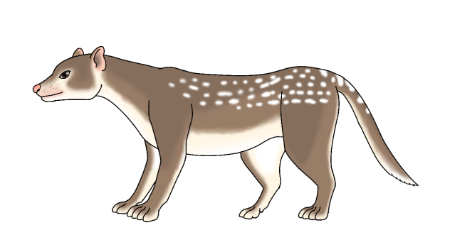 Borhyaena macrodonta render