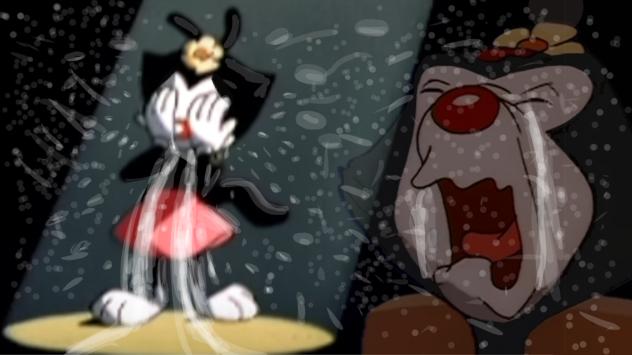 Dot Warner Crying