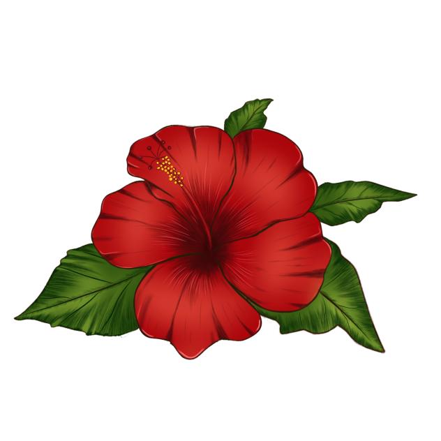 Hibiscus flower