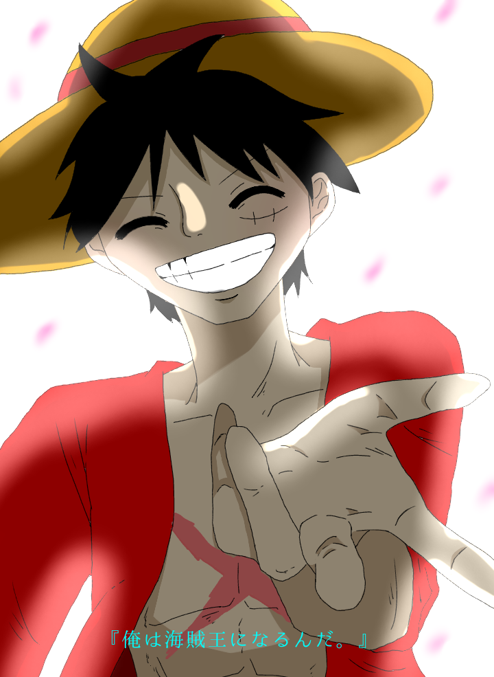 海賊王に俺はなる Ibispaint