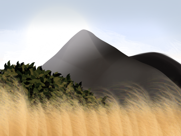 Pampas Grass and Sky