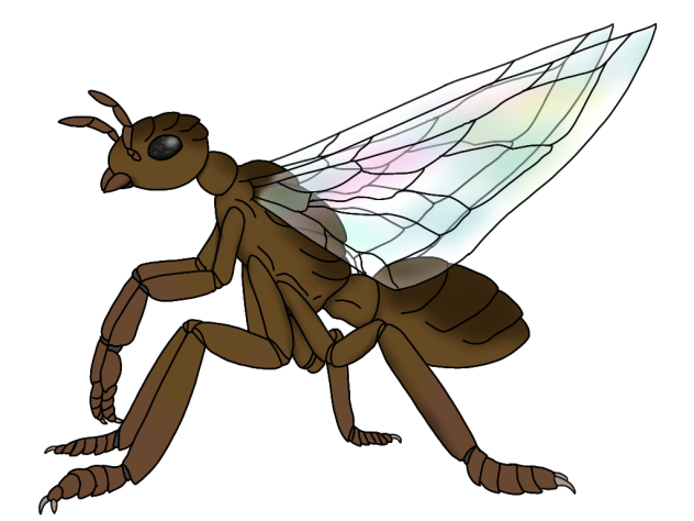 Myrmidonian winged