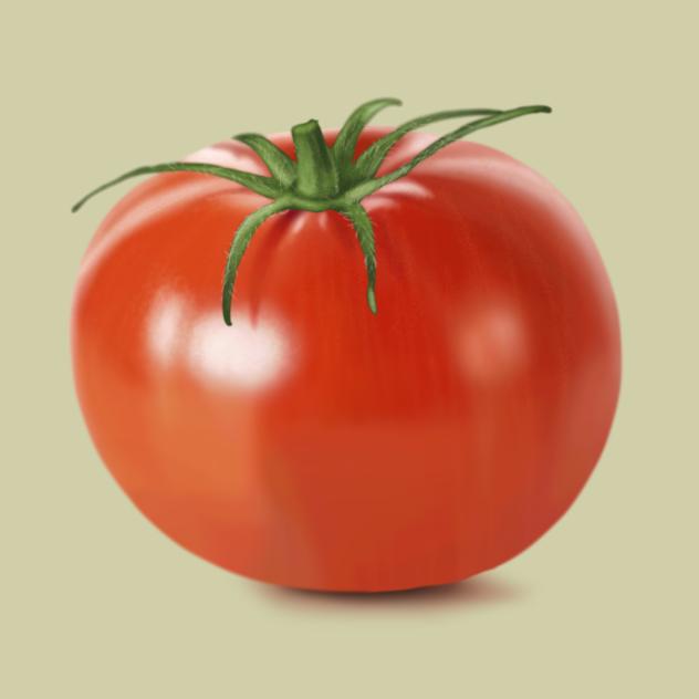 Tomato 🍅