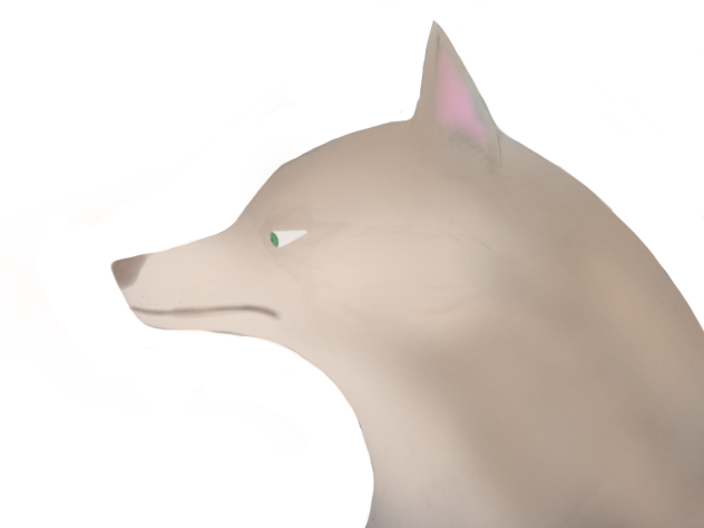 わんわんお( U^ω^ )