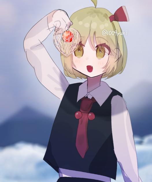 ほおずき