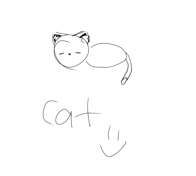 Cat 😺😺😺🐈