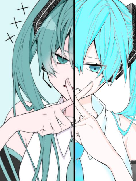 合作させていただきました！