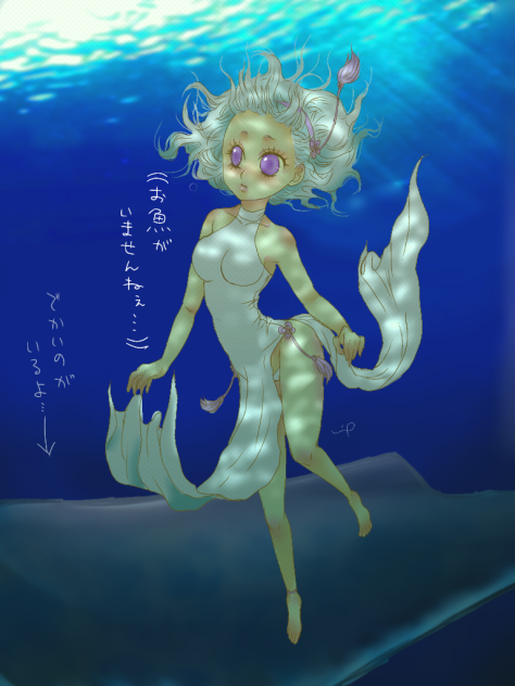 お魚…いませんねぇ