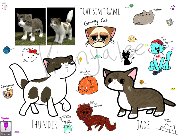 🐱Cat Sim🐱Game Drawing