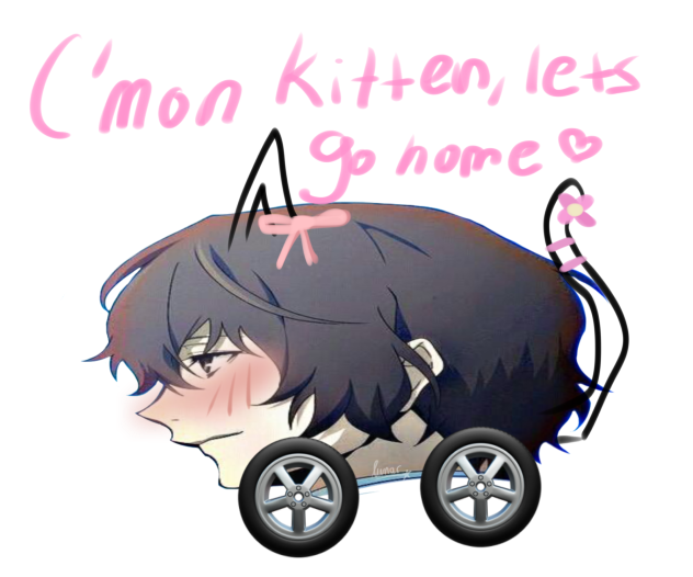 Kitten Car Dazai