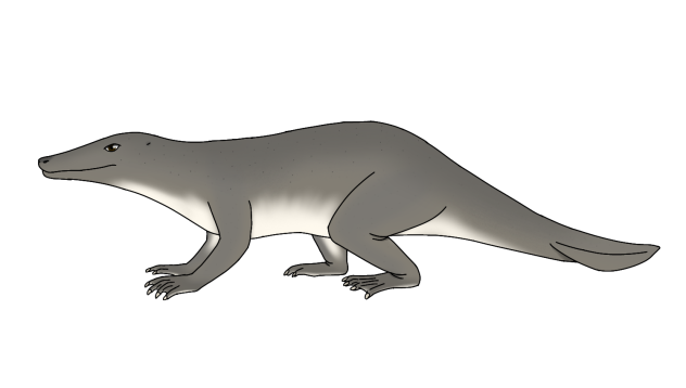 Peregocetus pacificus revamp