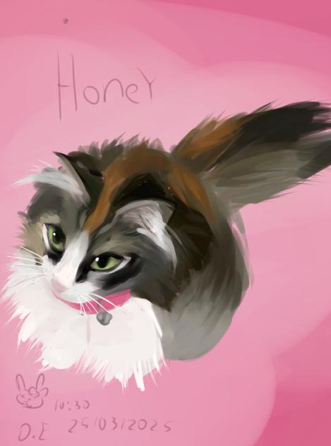 Honey bunny