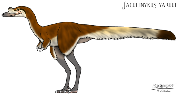 Jaculinykus yaruui