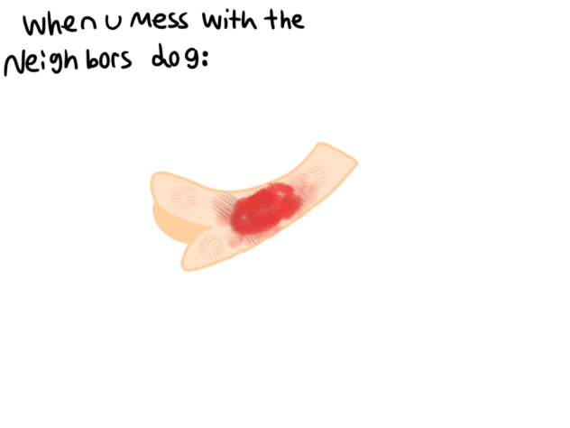 Blood test.