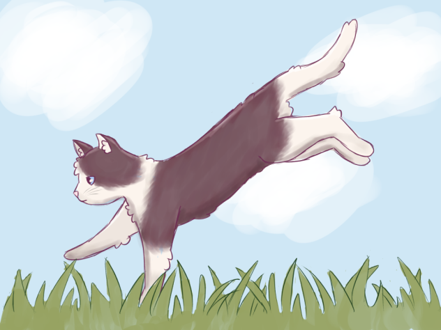 Lil cat drawing
