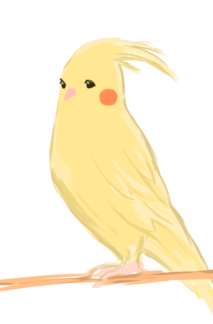 おかめいんこ