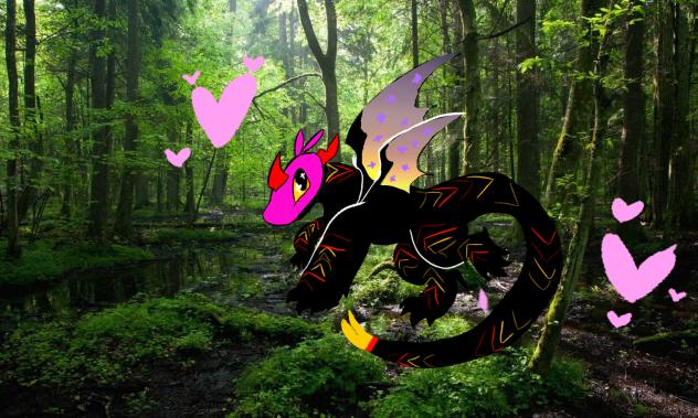 Shadow in the forest