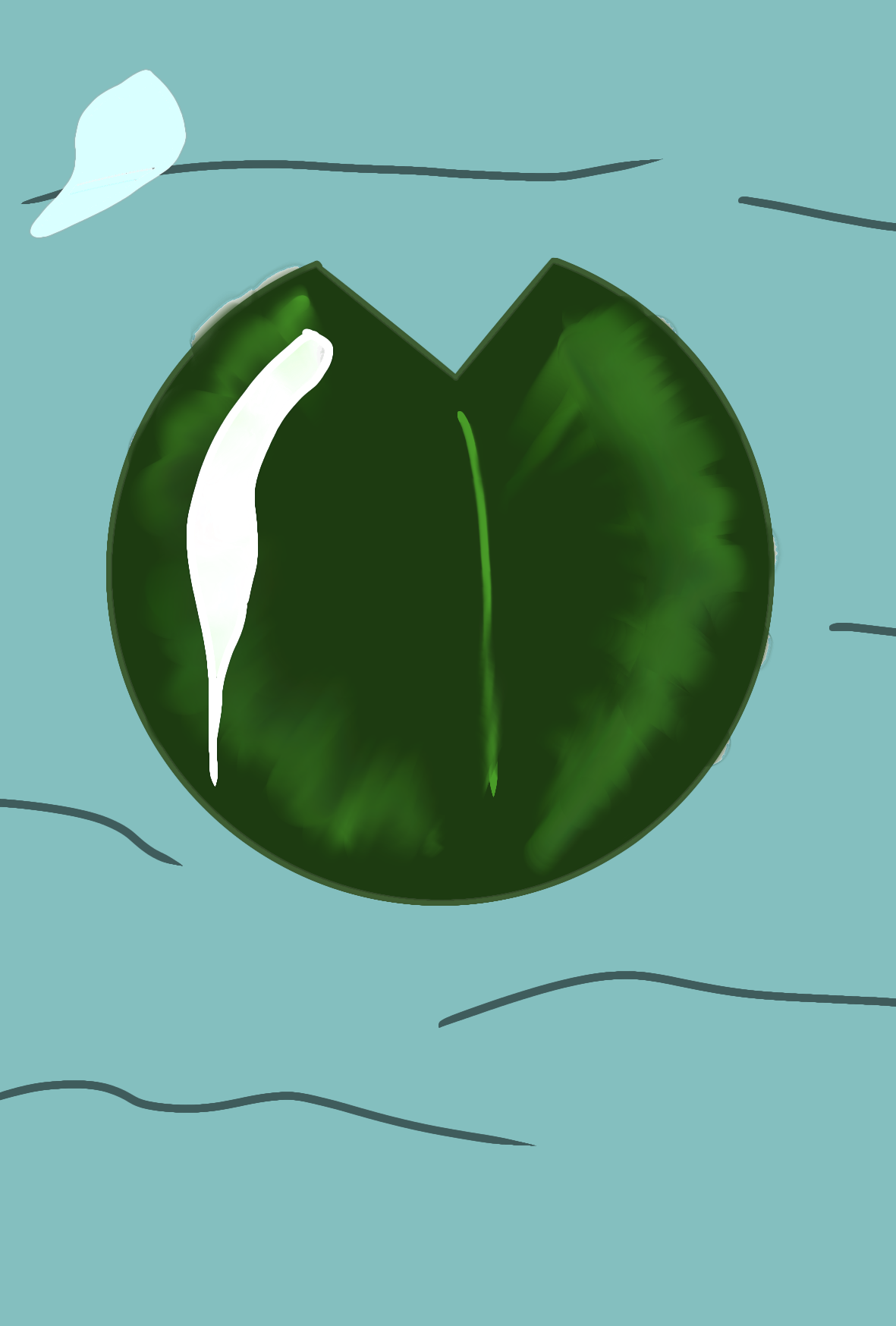 lily - ibisPaint
