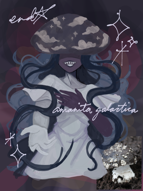 funguary; amanita galactica