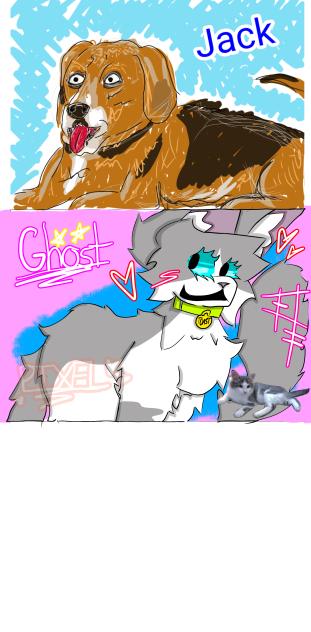 PET COLLAB with @ChrisNoCo!!!!