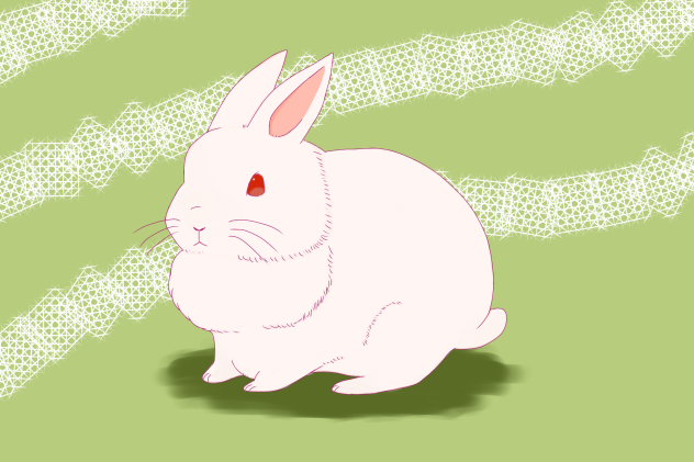 うさぎ