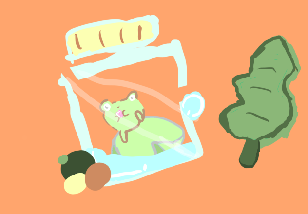 Bottle Froggy🐸🔜🫙