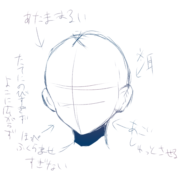 私の輪郭のこだわり