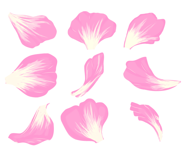 pink petals ibisPaint