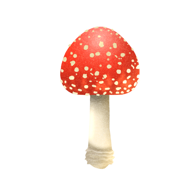 ベニテングダケ.2022.09.11-21.35