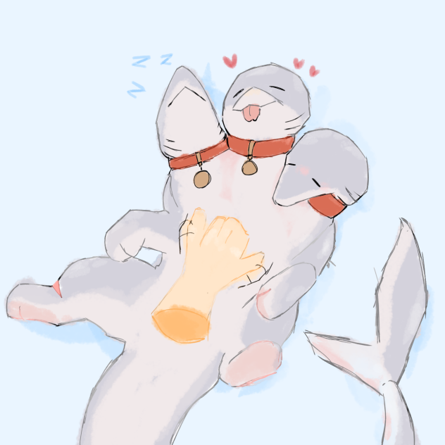 Sharkpet•