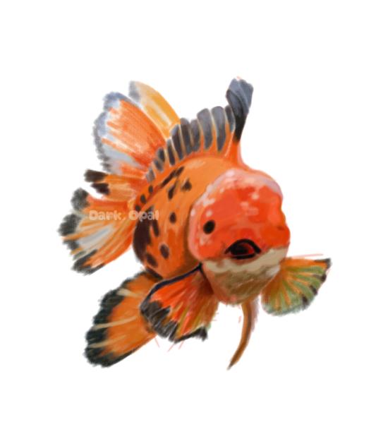 fishy