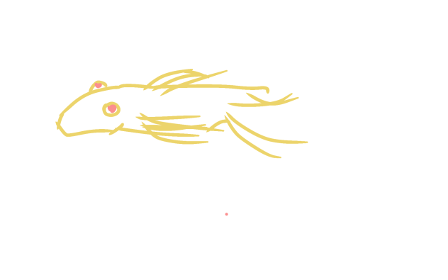 bristlenose