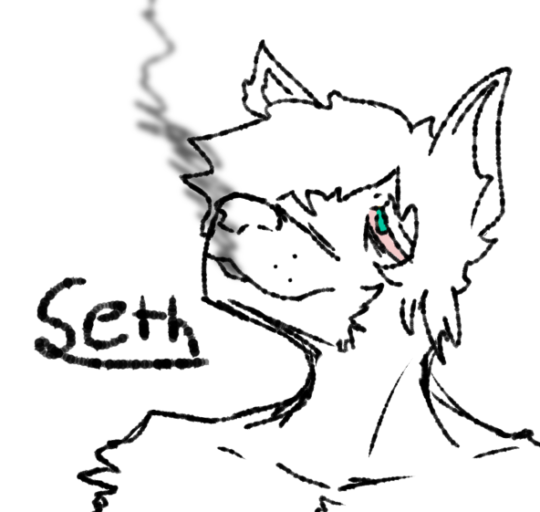 Seth ig