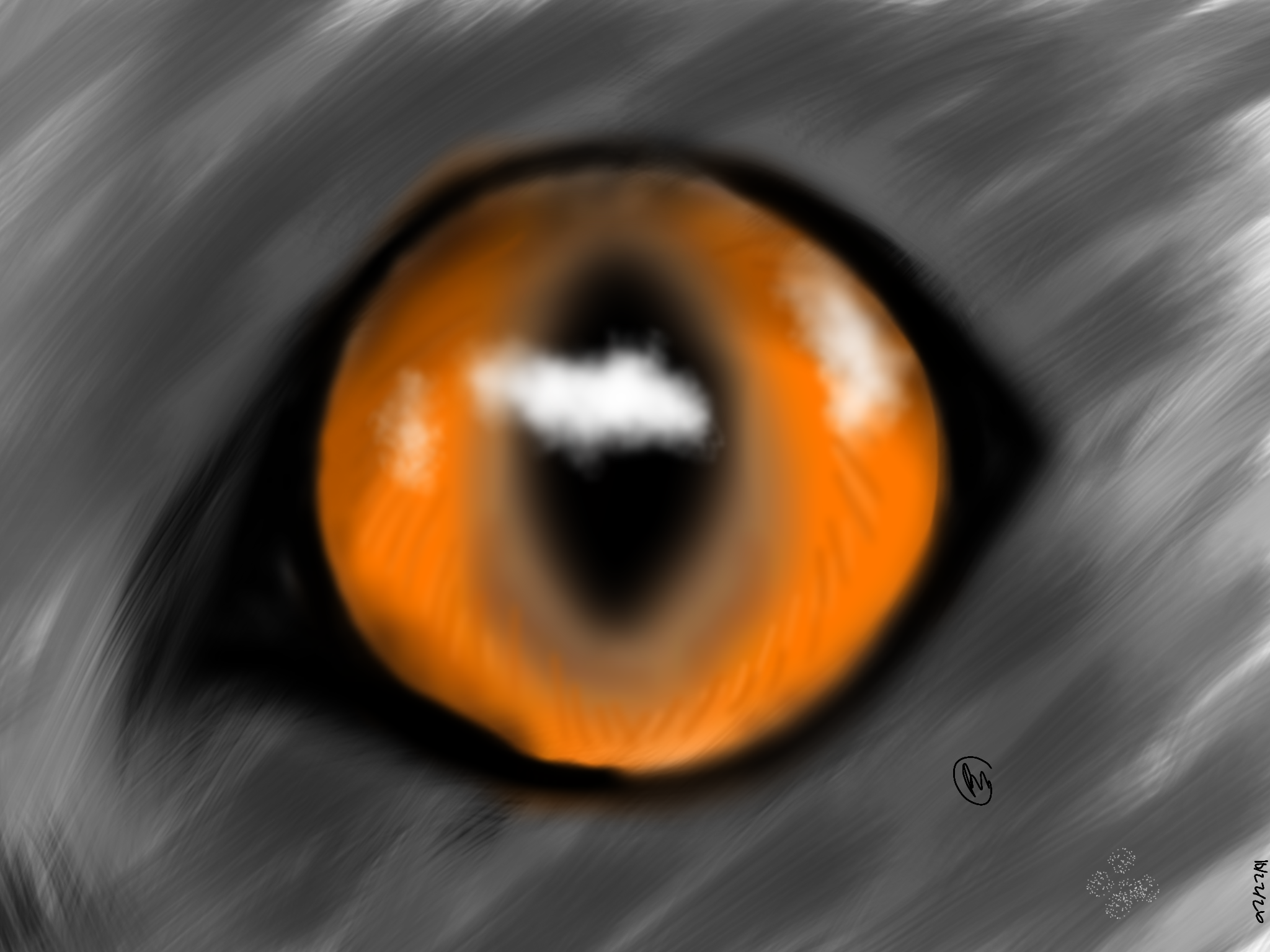 Amber cat eye - ibisPaint
