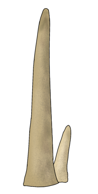 Prototaxites loganii render