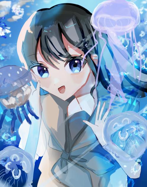 クラゲ🪼