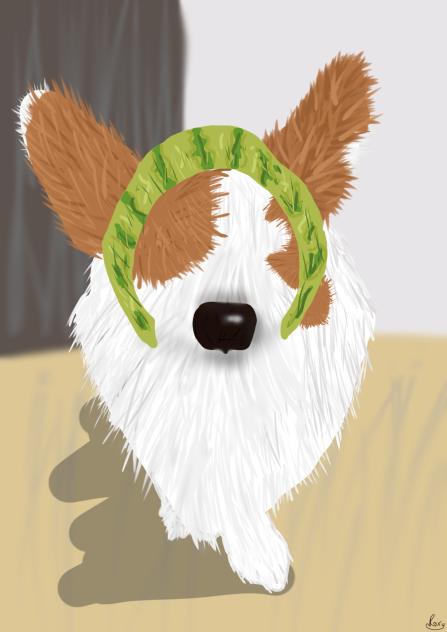 Watermelooooon Dawg!! 🐶🍉