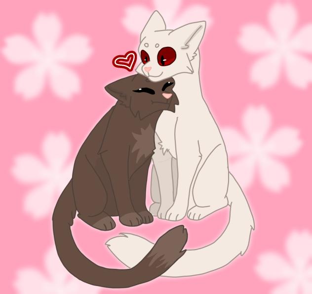 If we were cats ❤️