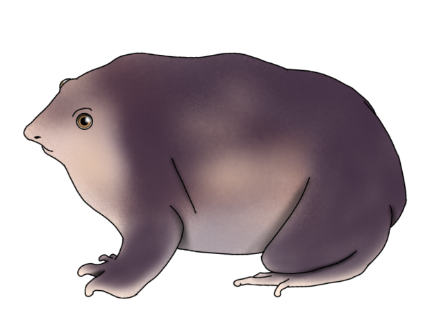 Purple Frog render