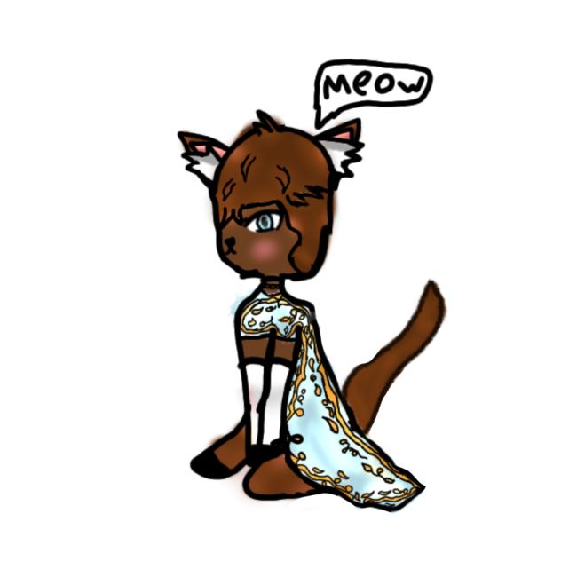 Cat In A Dress