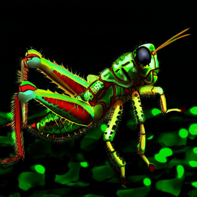 Antandrus Viridis