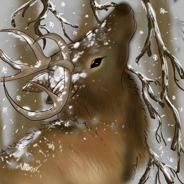 Deer - ibisPaint