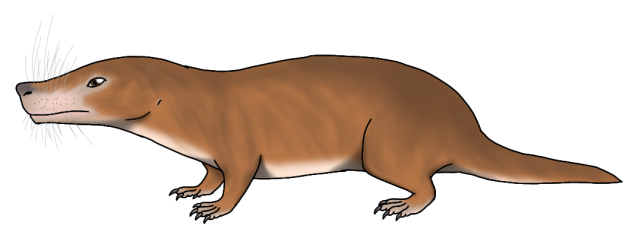 Morganucodon watsoni render